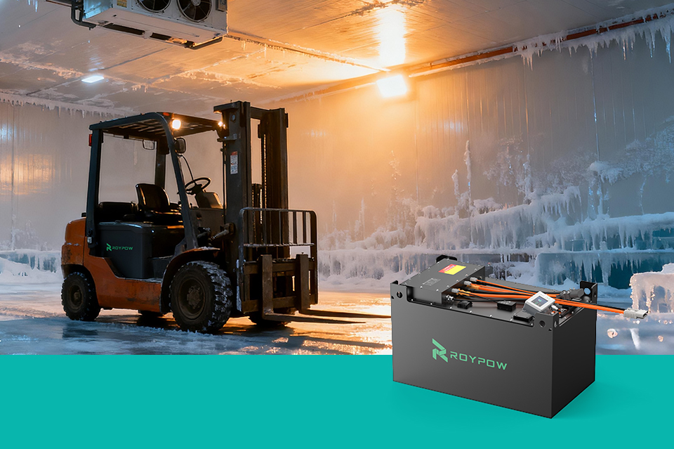 ROYPOW Anti-Freeze Lithium Forklift Battery for Cold Chain and Logistics