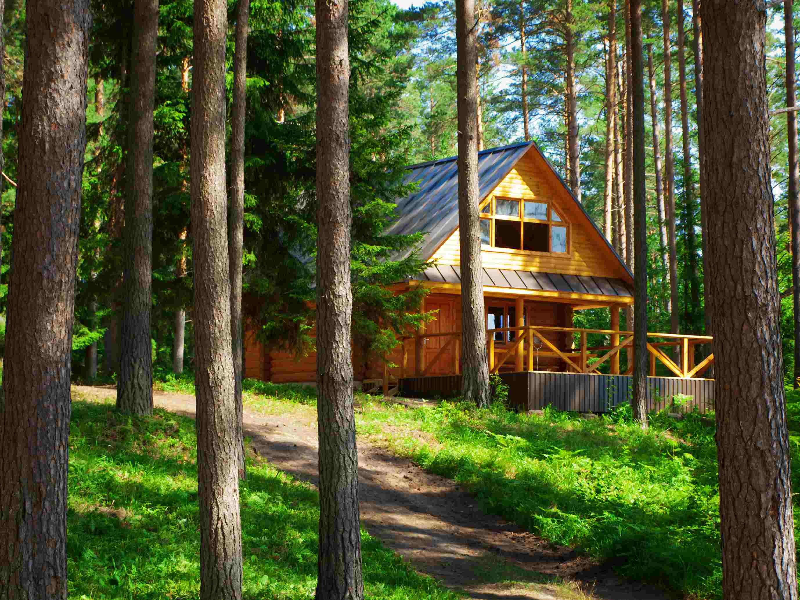 Clean, Uninterrupted Energy for a Latvian Cabin (1)