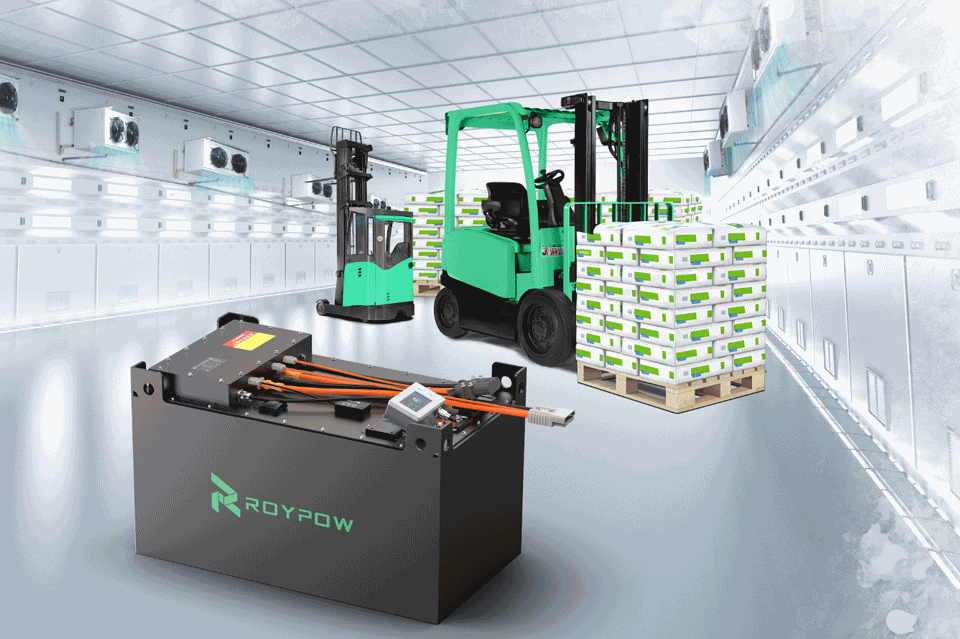 Power through the Freeze: ROYPOW IP67 Lithium Forklift Battery Solutions, Empower Cold Storage Applications